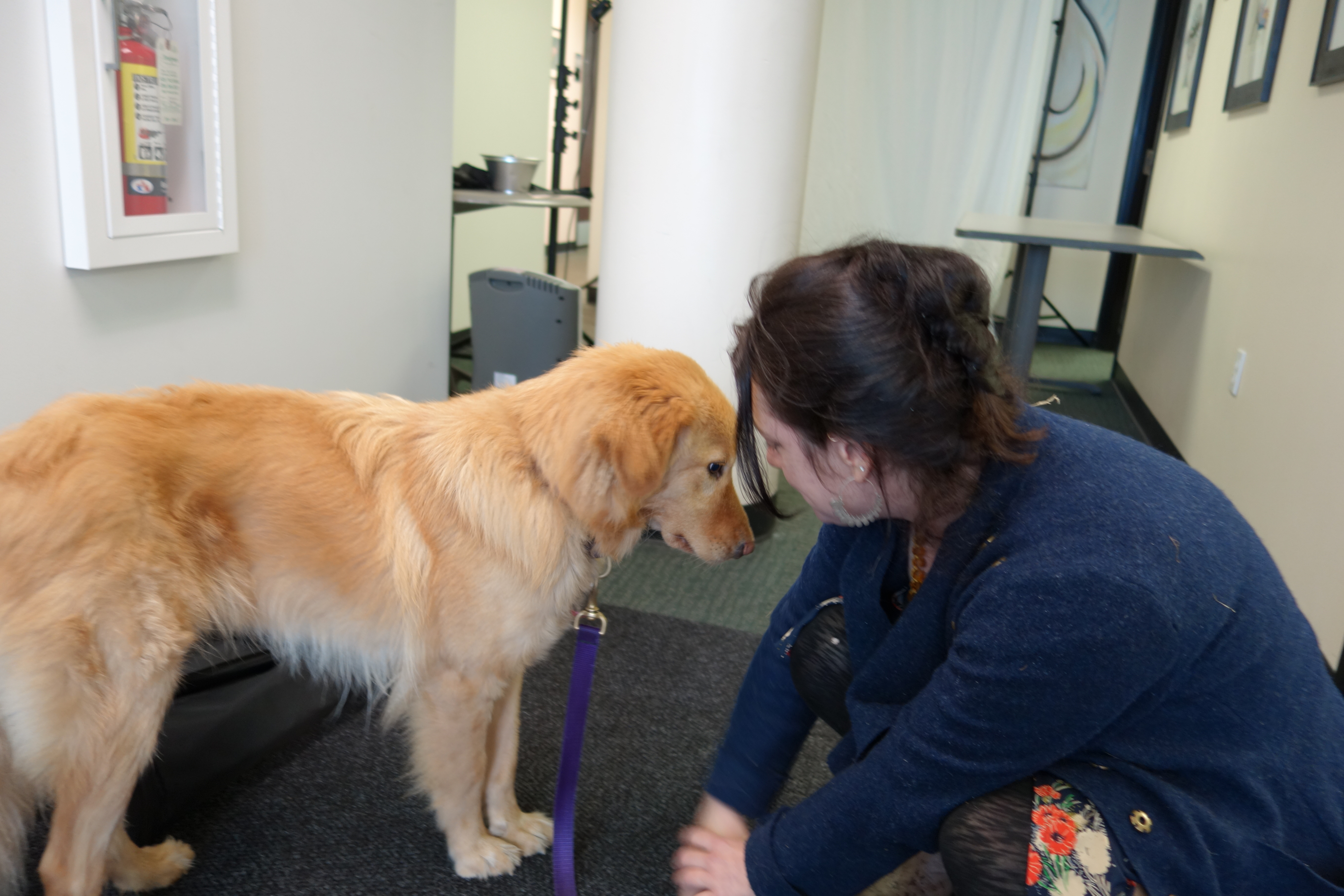 Cooper at the office