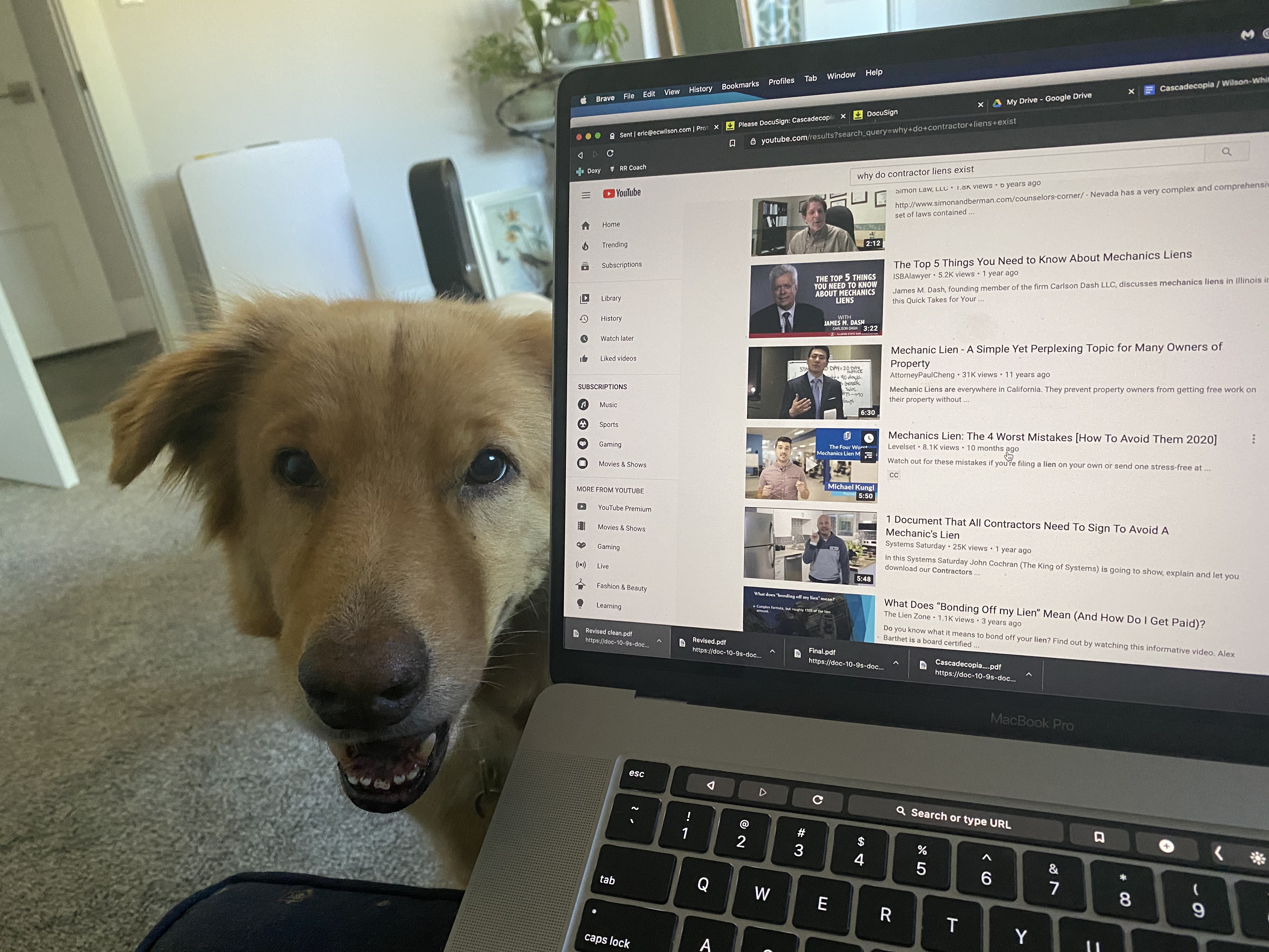 Cooper and laptop