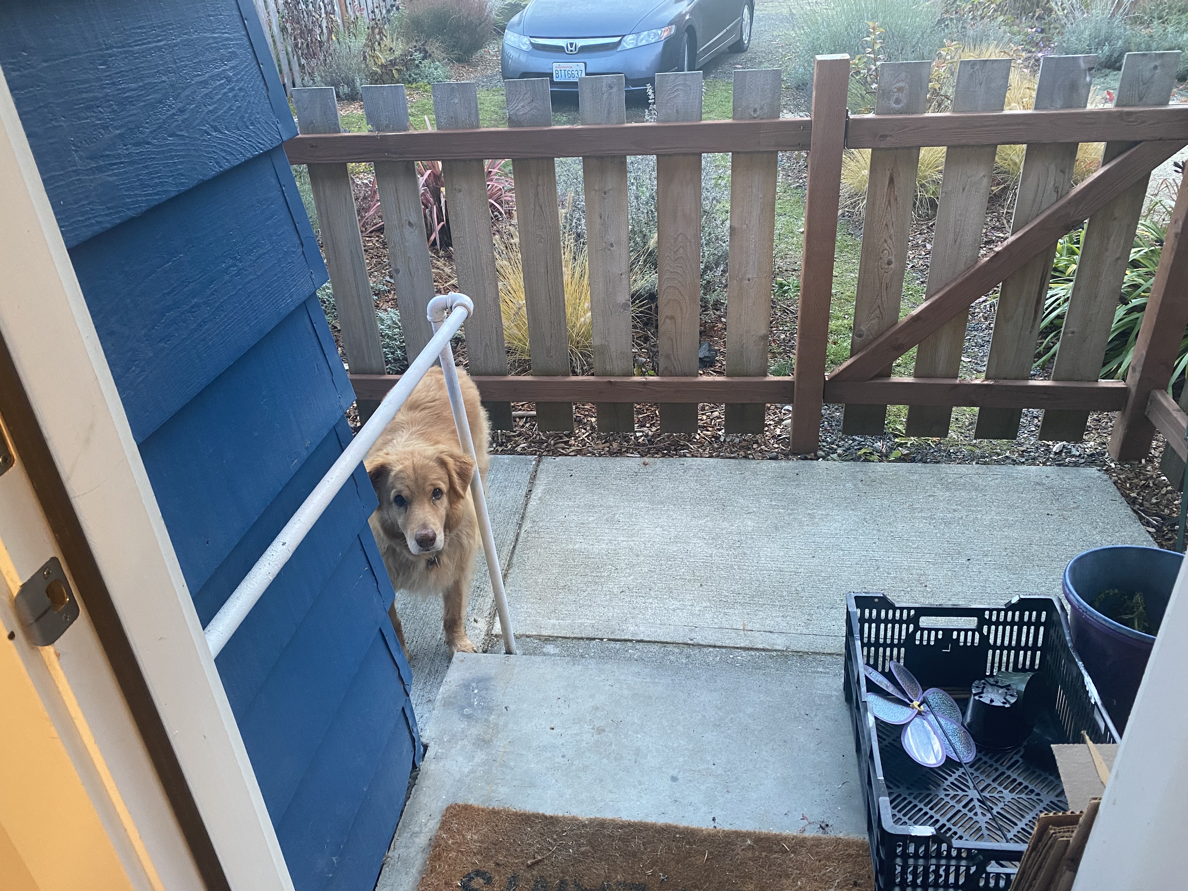 Cooper inviting us outside