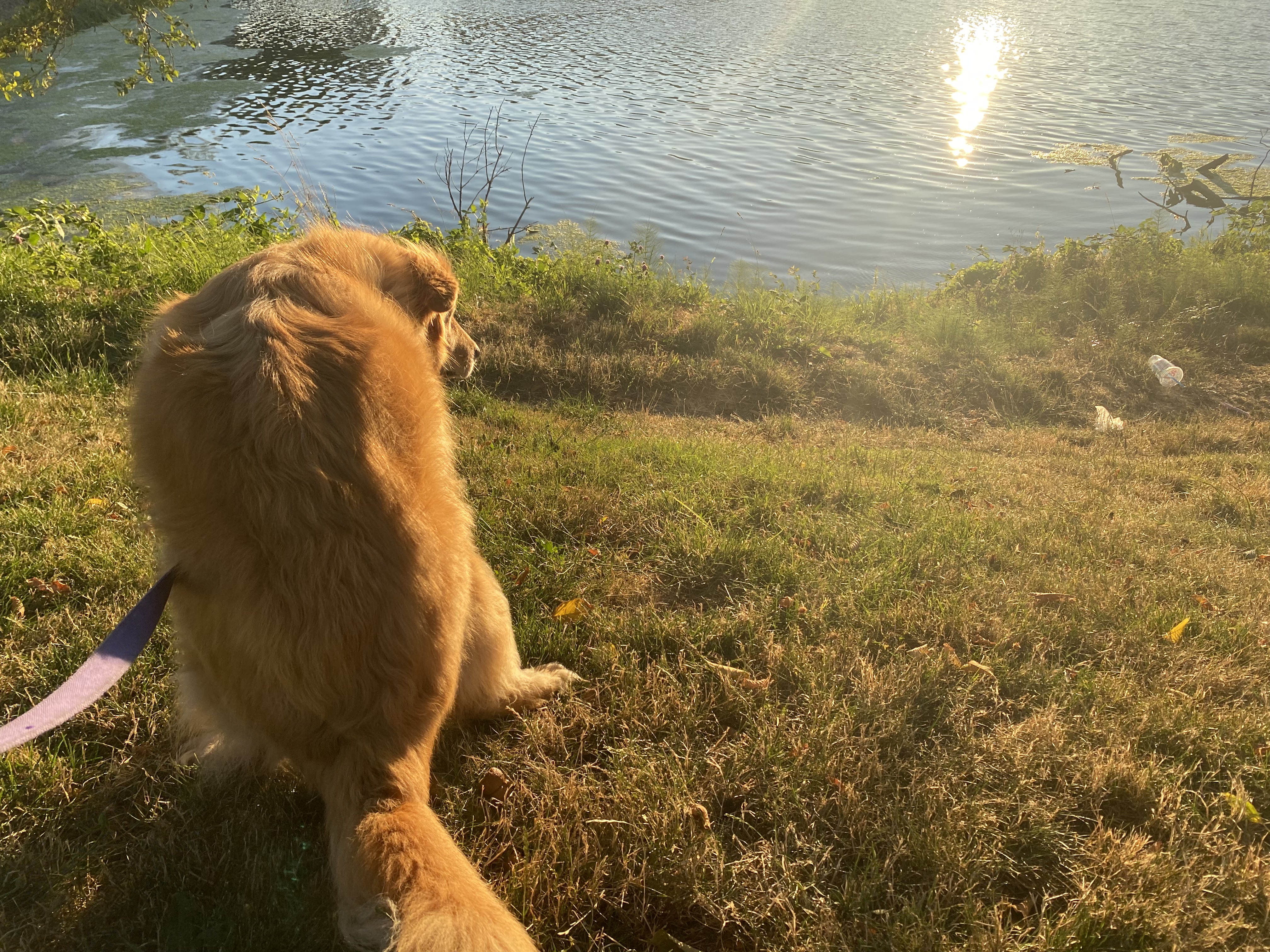 View from Cooper's spot