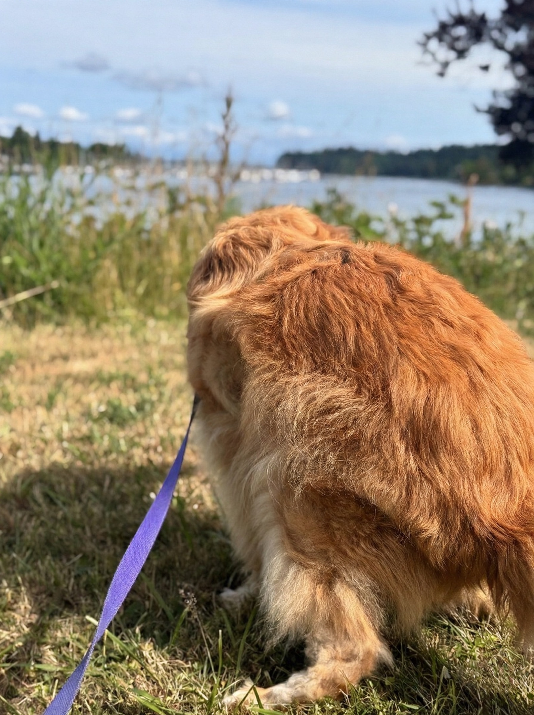 View from Cooper's spot