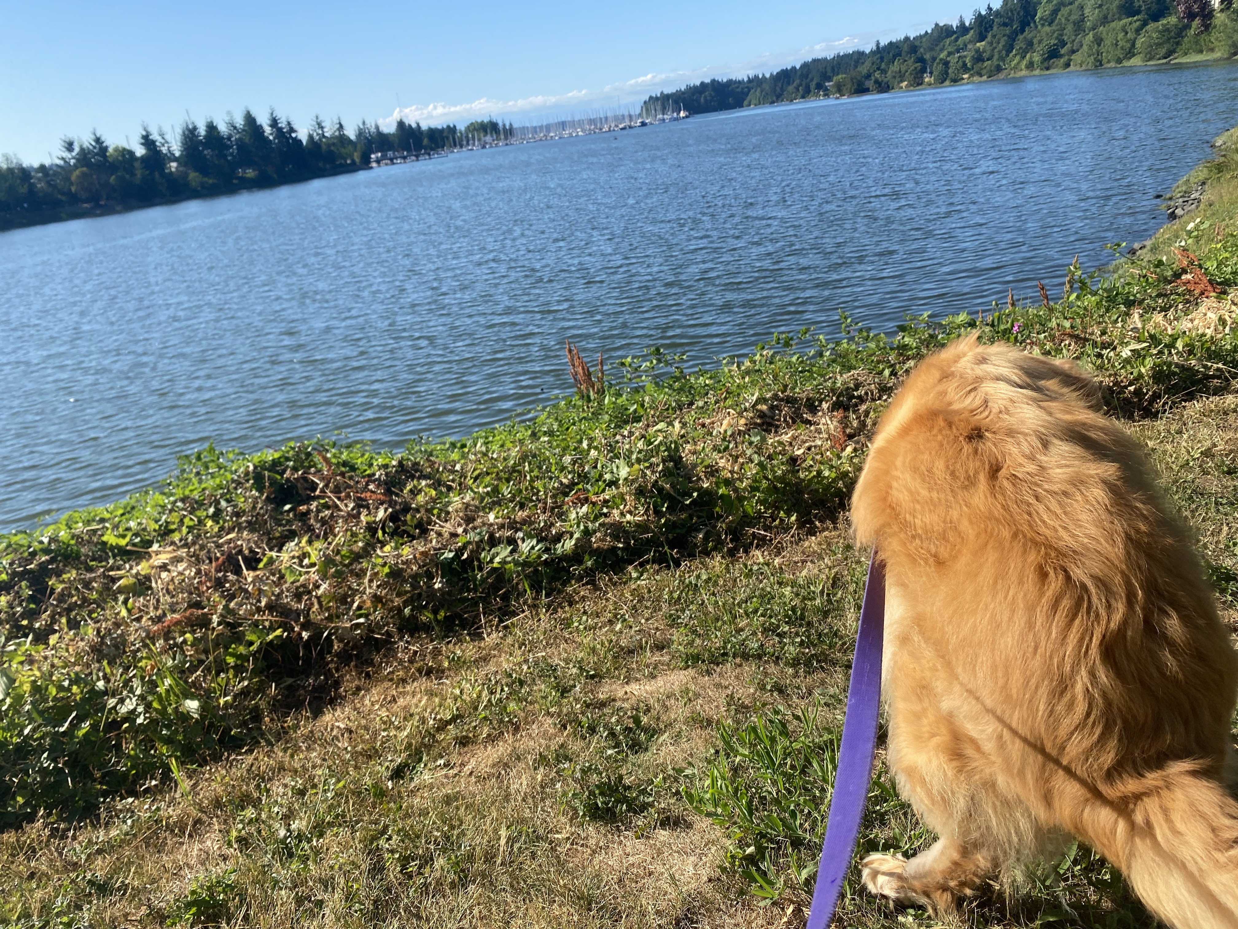 View from Cooper's spot