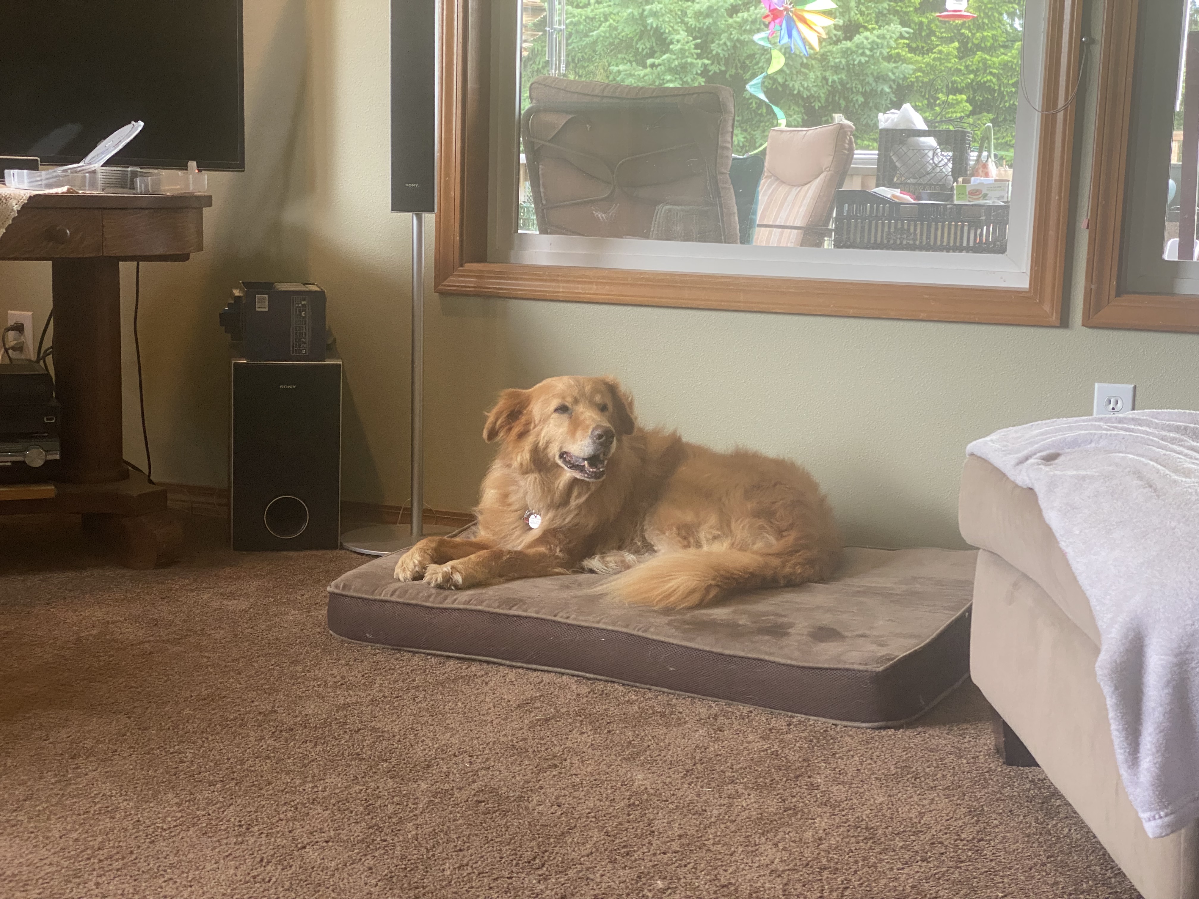 Cooper at the Whites